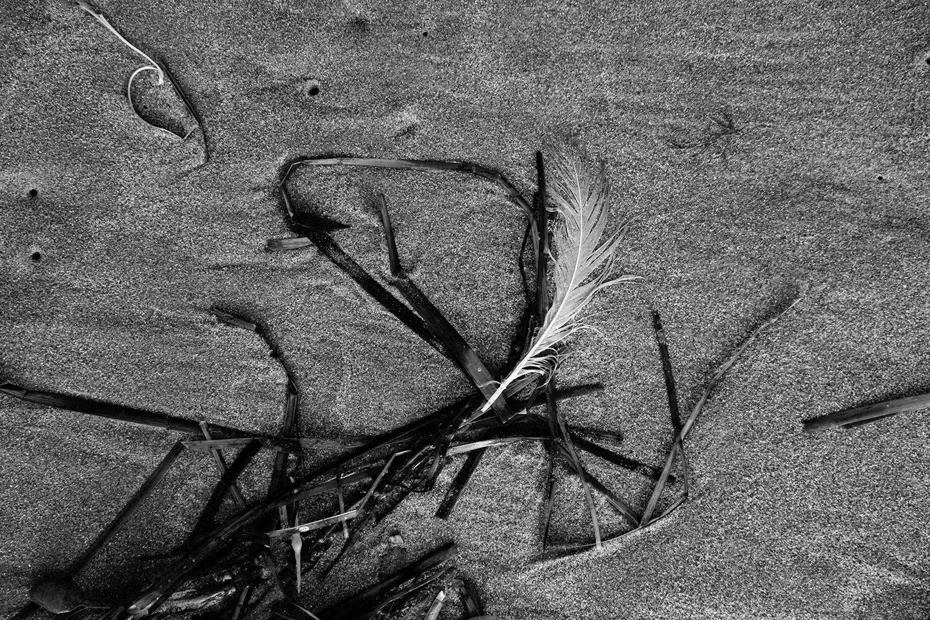 Canadian Fine Art Photographer Dean Casavechia