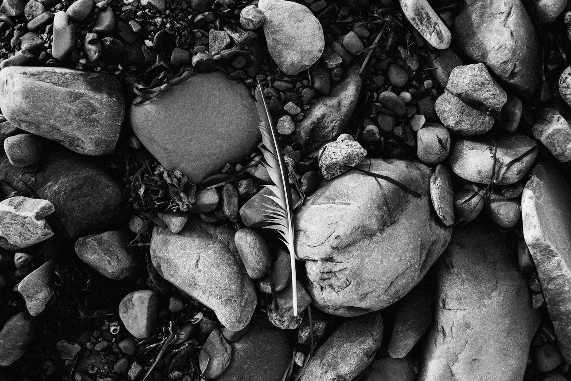 Canadian Fine Art Photographer Dean Casavechia