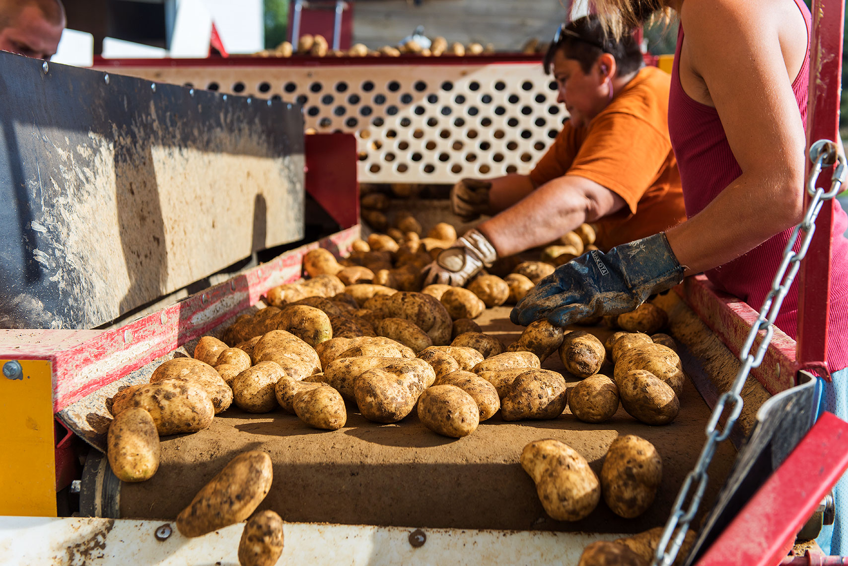 Farming and Agricultural photographer Dean Casavechia